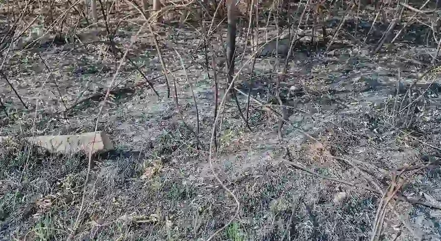 Izradom projekta aktiviramo neobrađena zemljišta - Rico Training Centre